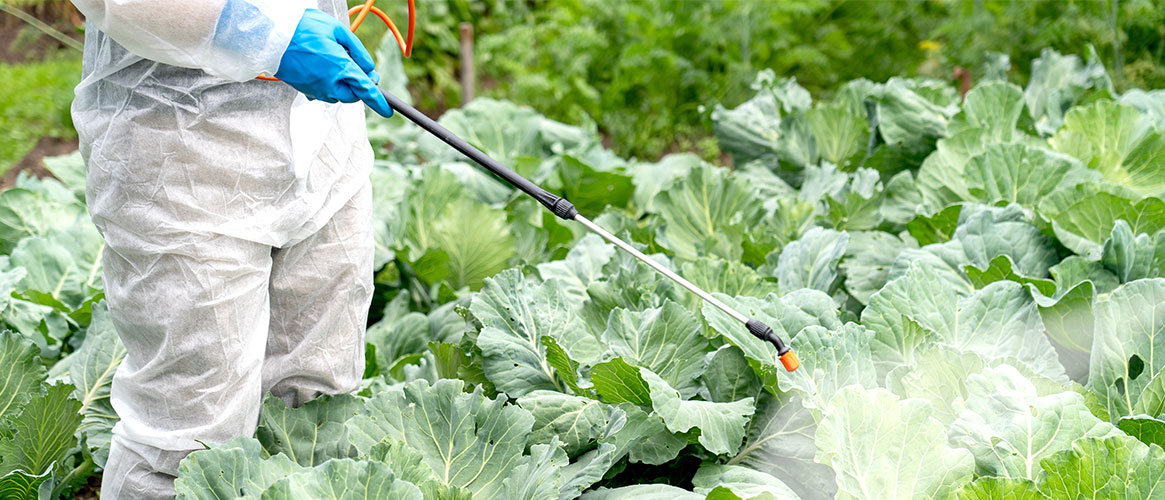 field worker applying pesticide to crops